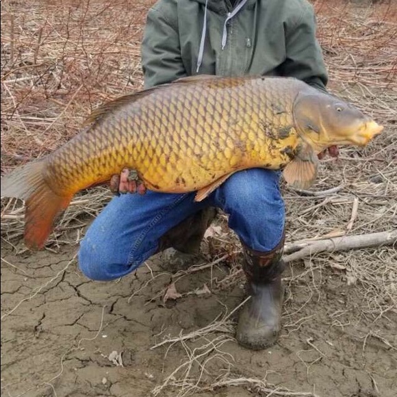 Meet your Posher, Kyleigh - Picture 1 of 1